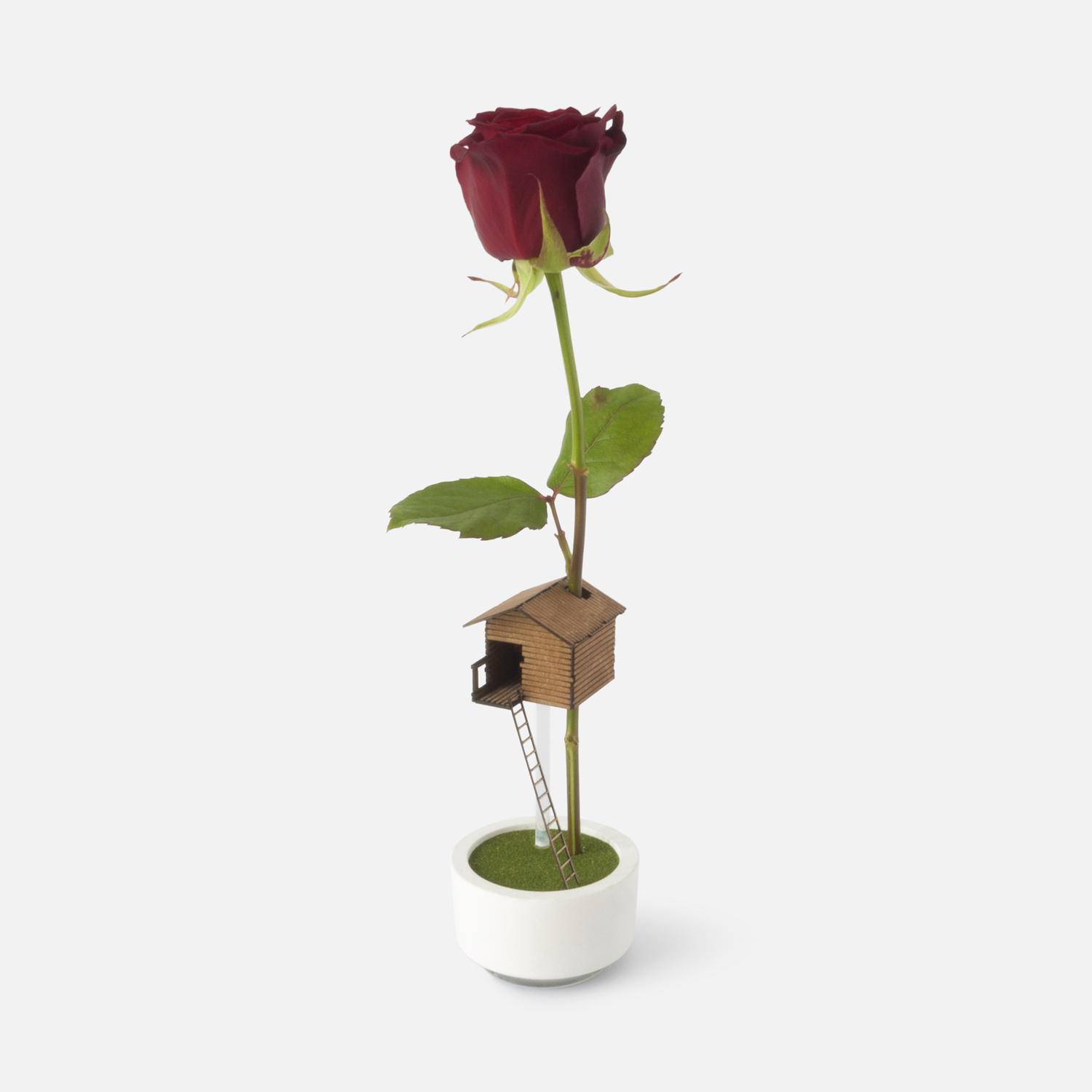 Treehouse vase with a red rose. Treehouse on a rose.