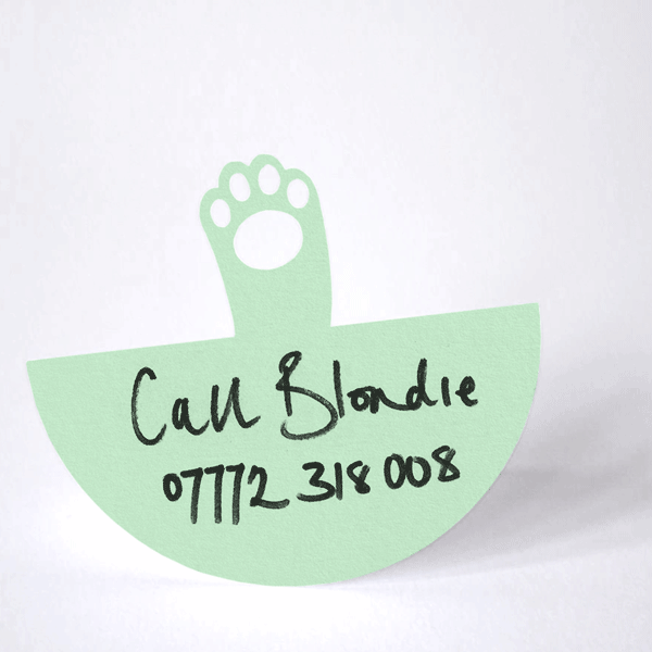 mint green paper cat paw rocking from back and forth in a waving action on it's round base