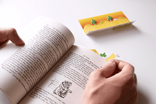Sticky Page Markers (Desert) - Duncan Shotton Design Studio
